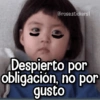 Memes con Frases #3🧠 5