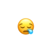 Emoji Iphone 21