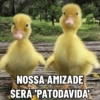 NOSSA AMIZADE SERA PATODAVIDA