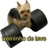 Bichinhos do ZAP 14