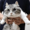 Held Hostage