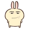 Usagi chiikawa 🐰 6