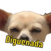 Cachorro meme 10