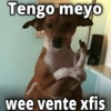 💫 Memes Halloween🤣❣️ 7
