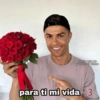 SHITPOST BOM DEMAIS 12