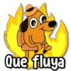 Que filuya