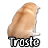 Troste