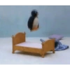 Pinguino nojado 6