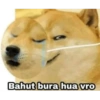 Bahut bura hua vro