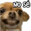 NO Se