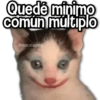 Memes Random2ღ💫 12