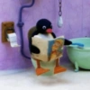 Pingu 🐧 19