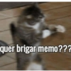 Gatinhos desconfiados 11