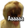 Aaaaaa