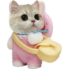 Olhas os gatinhos fofinhos 17