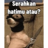 Meme cringe horor😭 9