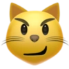 Emoji iphone 27