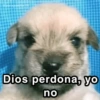 @paraguayita 01 Dios perdona, yo no