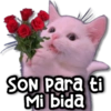 SON Para ti Mi bida