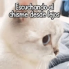 Escuchando el chisme desde lejos
