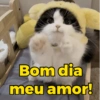 Bom dia meu amor!
