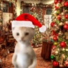 💚❤️Animalitos con gorrito❤️💚 6