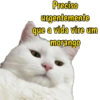 PARA WHATSAPP  14