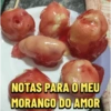 Morango do Amor 🍓 24