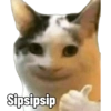 Kucing Bakekok 5