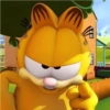 Garfield 🐱 13