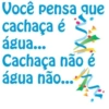 Carnaval frases  14
