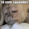 Macaquinhos 🐒 9