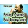 Lucu al 1 15