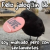 💫 Memes Halloween🤣❣️ 23