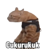 Kucing Bakekok 8