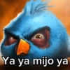 Ya ya mijo ya