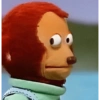 Lion stare