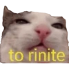 Bichinhos do ZAP 17
