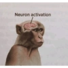 Meme random 8