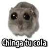 Chinga tu cola