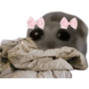 Mariamurax 8