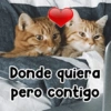 Donde quiera pero contigo