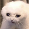 Quando está triste 9