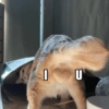 I U