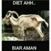 Meme 6