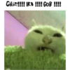 ??? 22