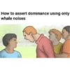 Meme reaction~10 20