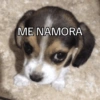 Frases amor/engraçadas 10