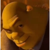 Shrek 6