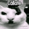 Cállate @Harley Stickers